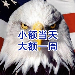 兰西要账公司